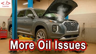 Our 2020 Hyundai Palisade is Still Leaking Oil | Process & Procedure Update