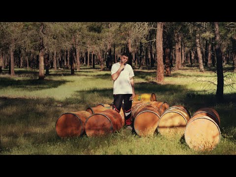 DIRTY PORKO - DANGER  (Videoclip Oficial)