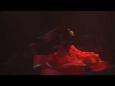 Bellydance Evolution's Artist Development Program