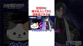 配信中に猫が乱入してきた四季凪アキラ　#にじさんじ #雑学 #豆知識