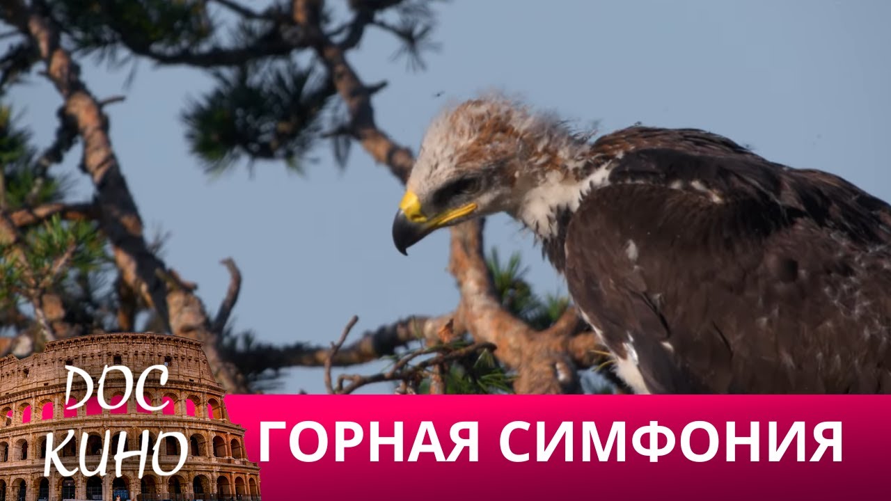 🎭ГОРНАЯ СИМФОНИЯ 🌎 ДОКУМЕНТАЛЬНОЕ КИНО 🎆 2019