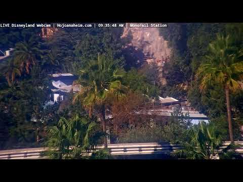 Live webcam of Disneyland Cam