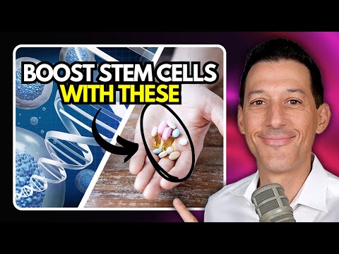Top 10 Supplements to Boost Stem Cells Naturally