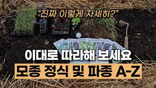 유기농 명품 텃밭 모종 정식 및 파종 A에서 Z까지 #부추 #조선대파 #비트 #적양배추 #잎들깨 #새론케일 …