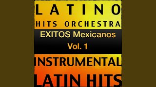 Metrosexual (Karaoke Version) (Originally Performed By Amandititita)