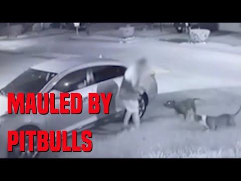 The Terrifying Last Moments Of Dennis Moore: MAULED By Pitbulls