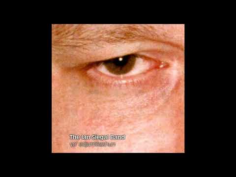 Busted — The Ian Siegal Band. From the album "Yo ' Edjumikashun"