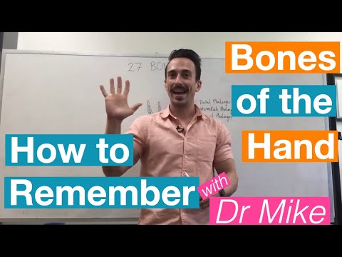 Bones of the Hand | Skeletal