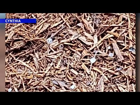 Hail reported in Jacksonville