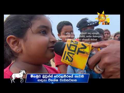 Hiru TV