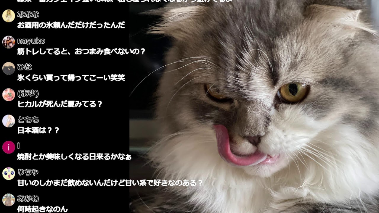 寝る前の1時間１本勝負配信