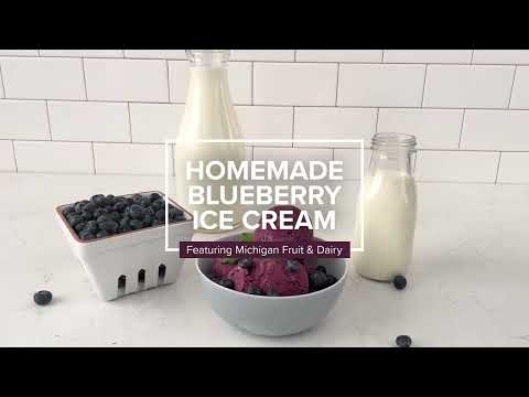 Homemade Blueberry Ice Cream