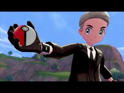 I meet DesuVGC in Victory Road Series 11 Tournament!