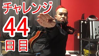 【SKUNKSノボルの】ベース初心者が100日間ベースを弾いたらどれほどうまくなるのか？44日目【チャレンジ動画】