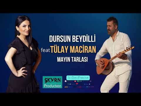 Dursun Beydili Mayın Tarlası 2022 ALBÜM TEASER