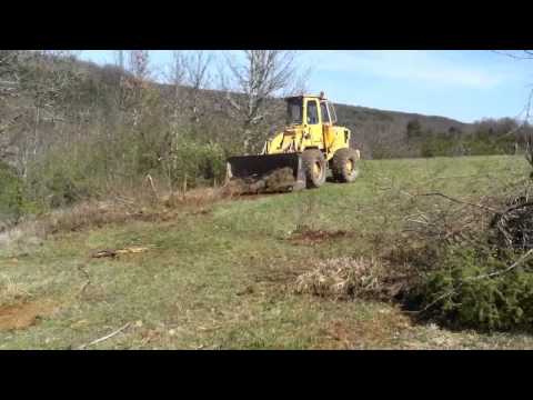 Endurance de la bereni