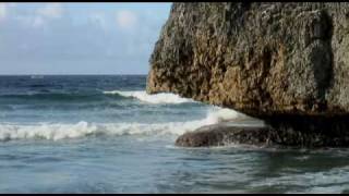 preview picture of video 'Island Life in Bathsheba Barbados'