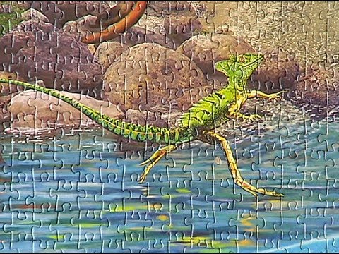 Framing a 24,000 piece jigsaw puzzle