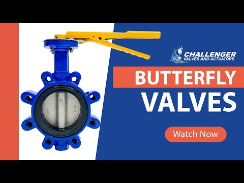 X2 Valves Butterfly valve lever operated Ball Valve SS304 / SS316 (2 years warranty)