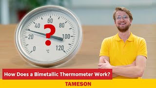How Does a Bimetallic Thermometer Work | Tameson