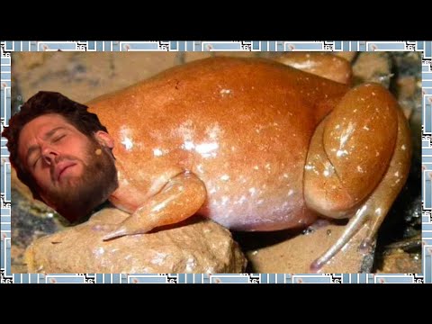 Der neue FROSCH ist da und er ist absolut OP! - Just Chatting