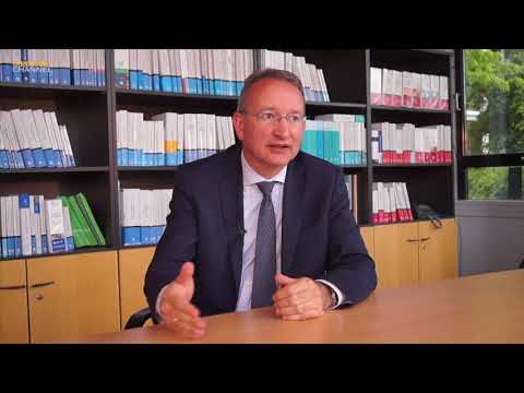 Die Geschäftsordnung des Vorstands