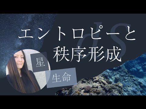 フィロストミ科について詳しく解説