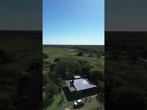 CAMPO MIXTO EN SAN MARTIN CHACO, 2800HAS