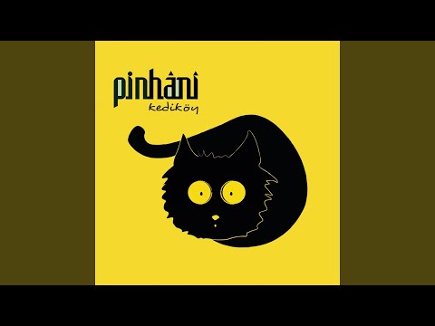Pinhani - Sen Olmayınca cover