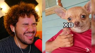 Download lagu TIKTOKS TAN XD que AUMENTARÁN TU AURA 🗿 mp3 Download lagu TIKTOKS TAN XD que AUMENTARÁN TU AURA 🗿 mp3