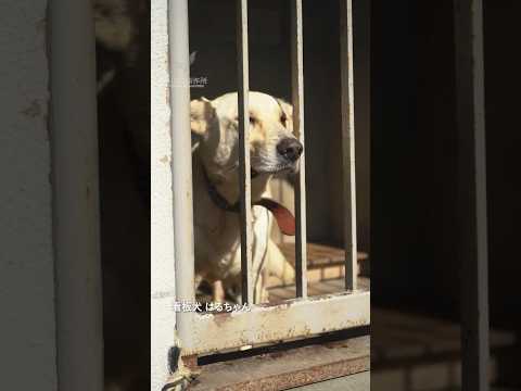 鉄骨ができるまで