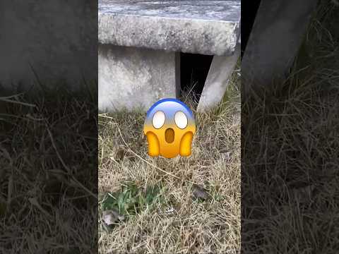 قبر مفتوح… والصدمة اللي حصلت! 😨⚰️