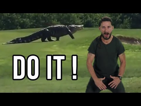 Giant Alligator Walks on Golf Course RARE footage
