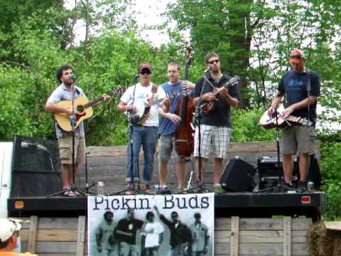 Love, Please Come Home by Pickin' Buds
