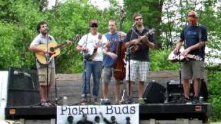 Love, Please Come Home by Pickin' Buds
