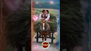 Download lagu DE LA MOARĂ PÂN' LA GARĂ (Cover AI) mp3