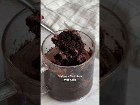 The viral 5 minute chocolate mug cake that everyone says is the best they’ve ever had!