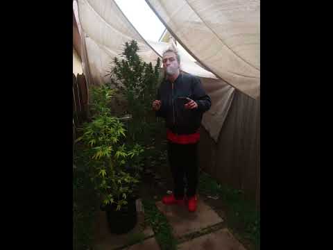 RikoJamez - Sticky (Prod. by 183realchance)