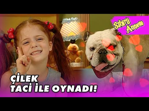 Taci, Çilek'in Eline Düştü! - Sihirli Annem 21.Bölüm
