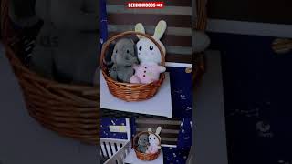 &quot;അവൻ്റെ ലോകമാണ് ഈ Room&quot;😍😍| Arun Gopan &amp; Nimmy | Home Tour