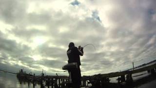preview picture of video 'Lake Champlain Bass Fishing'