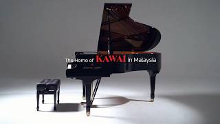 Video 1 trigger image