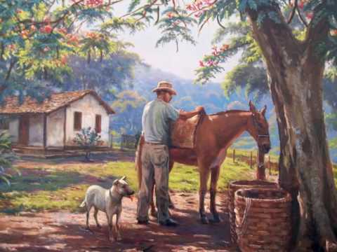 Velha Fazenda video