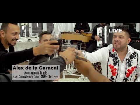 Taraful Oltenesc Alex de la Caracal - Izvoras curgand la vale [ Live ]