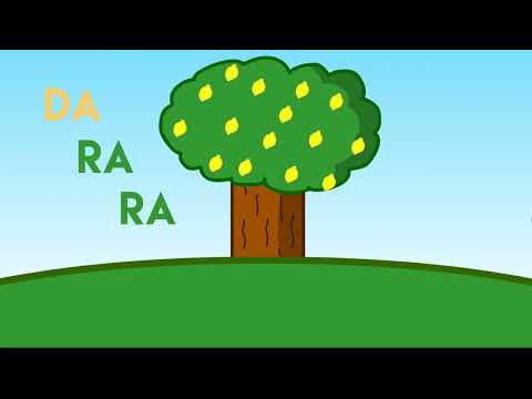 レモンツリー (Lemon tree)