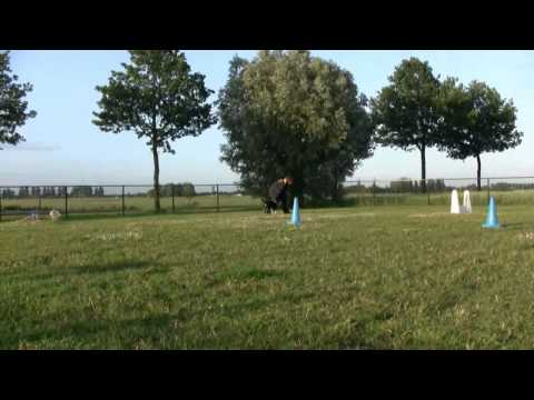 Jonne's oefening hier komen met afleiding @ 14½ week