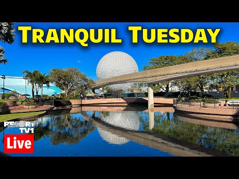🔴Live: Tranquil Tuesday at Epcot - Walt Disney World Live Stream - 6-27-23