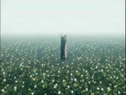 Geoffrey Taucer & Tepid - Golden Fields