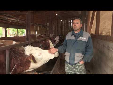 Imamo rešenje ep. 51 11.05.2020. NAJAVA