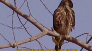 Matt Kivel - "Blood River"